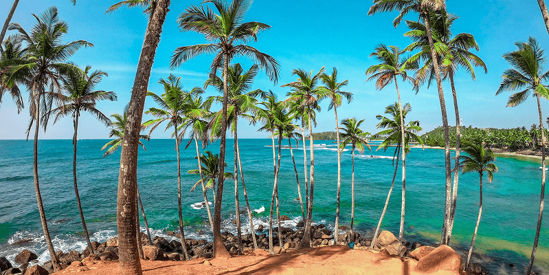 Sri Lanka eVisa FAQ: Complete Guide to Requirements, Application & Travel