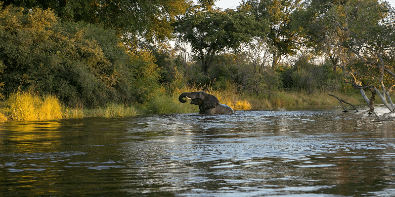 Zambia eVisa Complete Guide 2025: Requirements, Application & Travel Tips