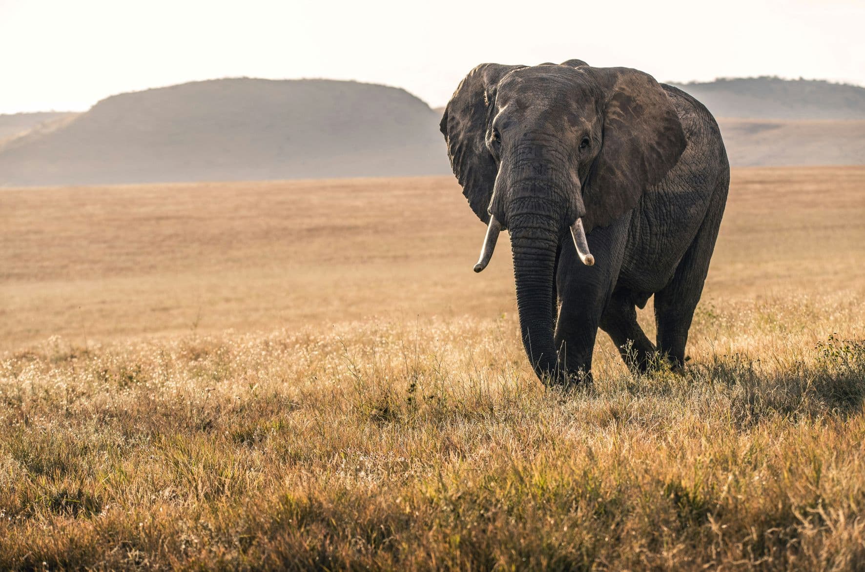 Travel to Kenya