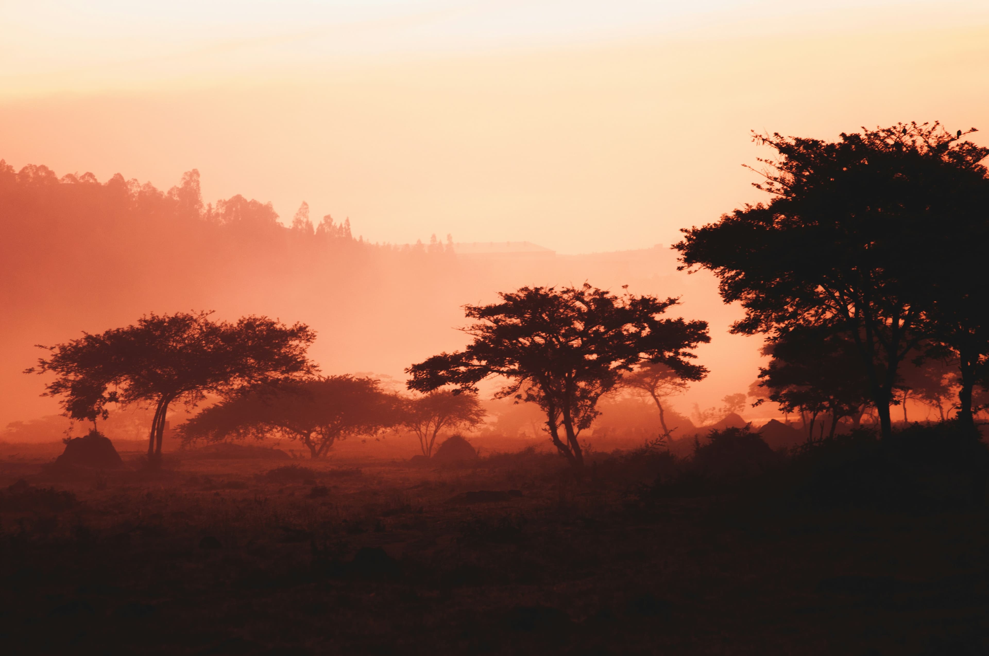 Travel to Rwanda