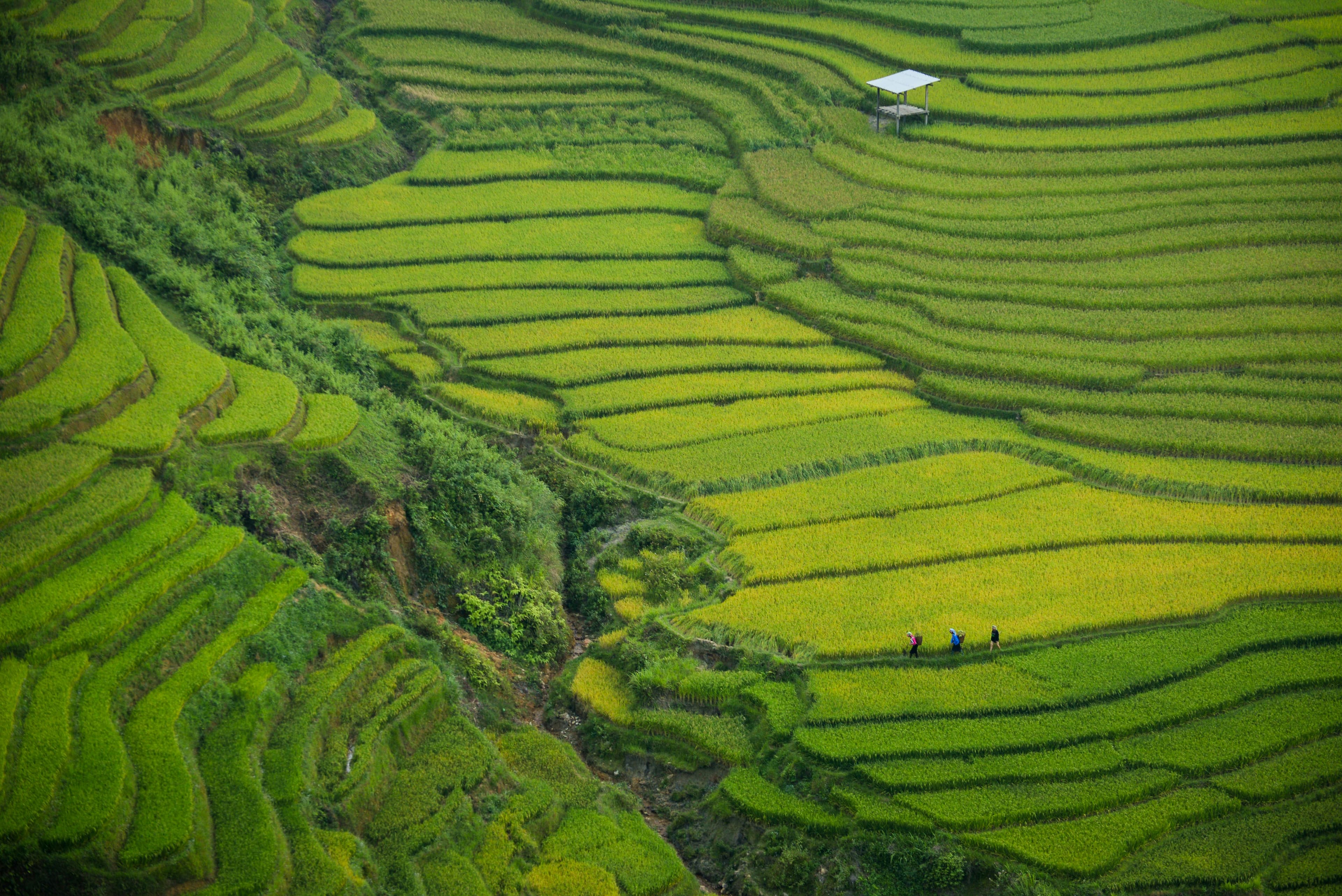 Travel to Vietnam