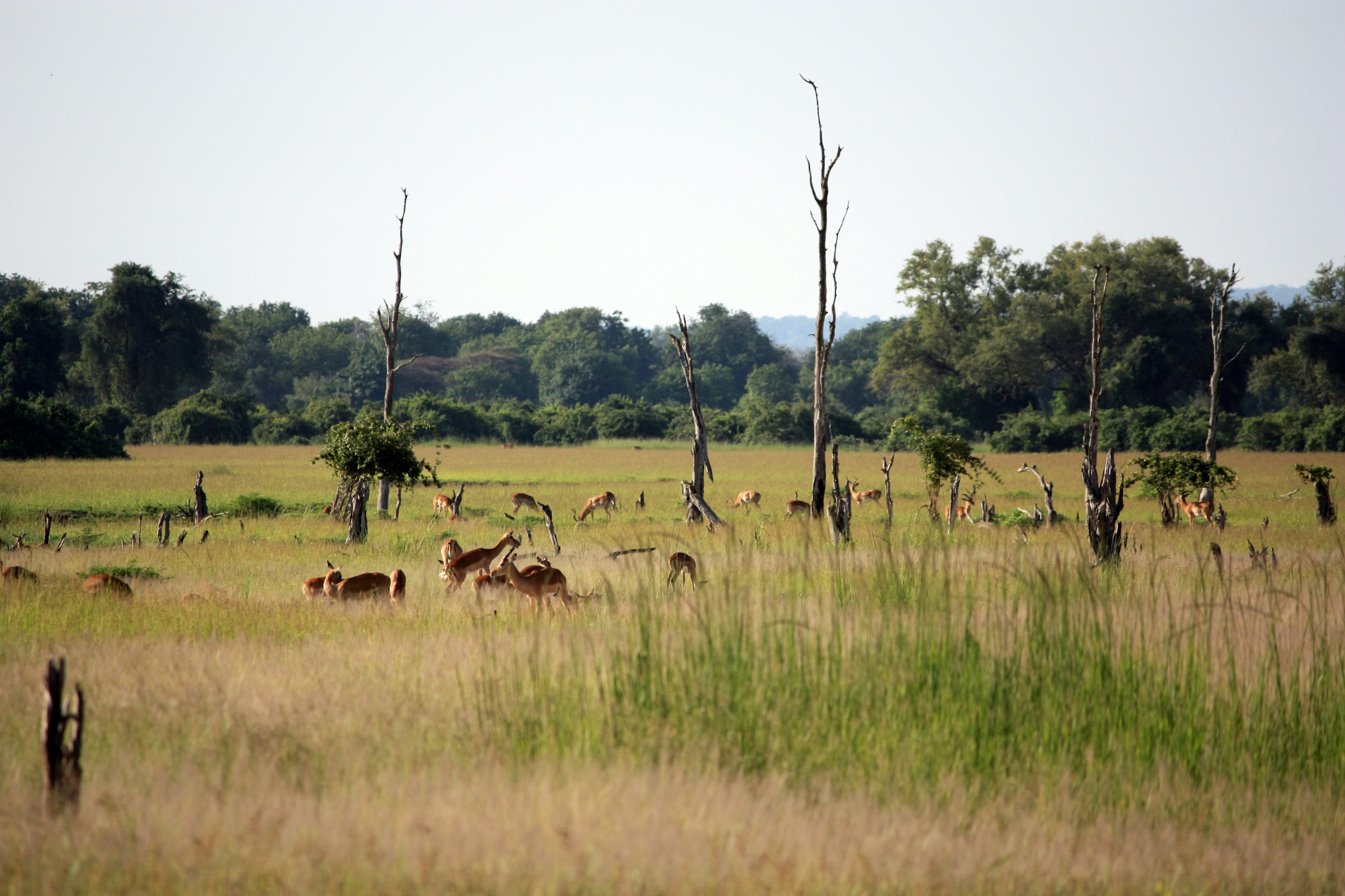 Travel to Zambia